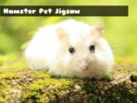 Quebra-cabeça de animal de estimação de hamster