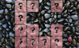 Combinação de memória de molusco